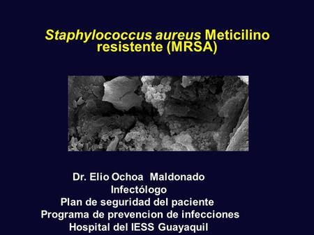 Staphylococcus aureus Meticilino resistente (MRSA)