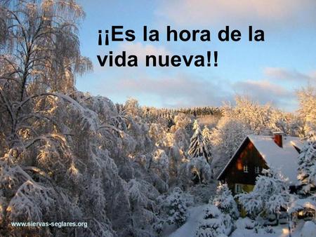 ¡¡Es la hora de la vida nueva!! www.siervas-seglares.org.