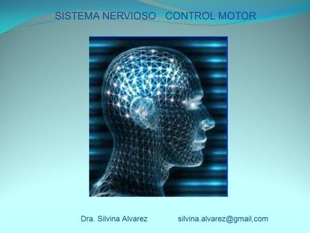 SISTEMA NERVIOSO CONTROL MOTOR