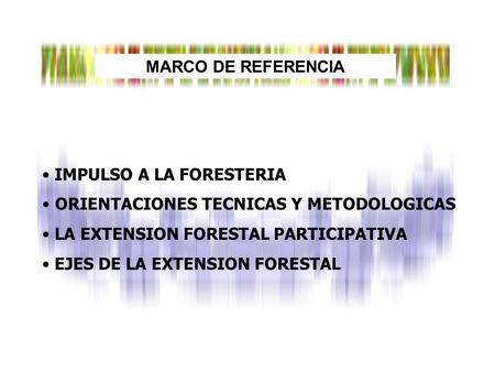 MARCO DE REFERENCIA IMPULSO A LA FORESTERIA ORIENTACIONES TECNICAS Y METODOLOGICAS LA EXTENSION FORESTAL PARTICIPATIVA EJES DE LA EXTENSION FORESTAL.