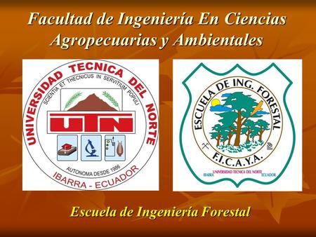 Facultad de Ingeniería En Ciencias Agropecuarias y Ambientales Escuela de Ingeniería Forestal.