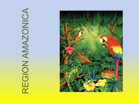 REGION AMAZONICA.