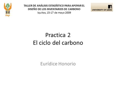 TALLER DE ANÁLISIS ESTADÍSTICO PARA APOYAR EL DISEÑO DE LOS INVENTARIOS DE CARBONO Iquitos, 15-17 de mayo 2009 Eurídice Honorio Practica 2 El ciclo del.