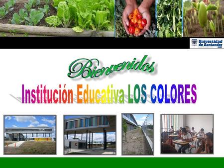 Institución Educativa LOS COLORES