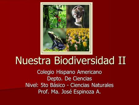 Nuestra Biodiversidad II