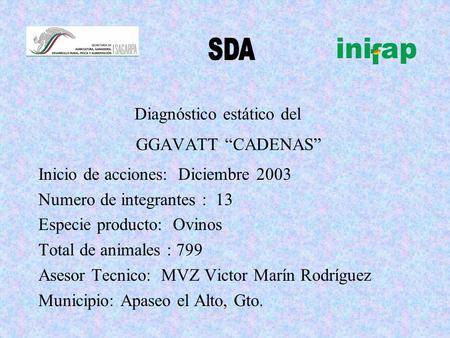 Diagnóstico estático del GGAVATT “CADENAS” Inicio de acciones: Diciembre 2003 Numero de integrantes : 13 Especie producto: Ovinos Total de animales : 799.