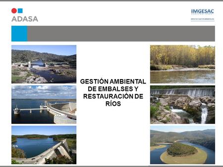 GESTIÓN AMBIENTAL DE EMBALSES Y RESTAURACIÓN DE RÍOS