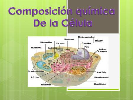 Composición química De la Célula.
