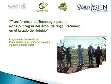 Noviembre 2011.  OBJETIVOS: 1.Los participantes conocieron el Manejo Integral del Nogal y visitaron a la industria nogalera. 2.Apreciaron el desarrollo.
