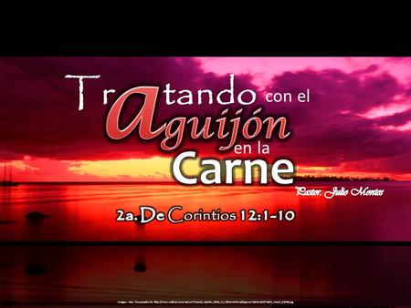 Conel enla Imagen. Mar. Recuperada de: