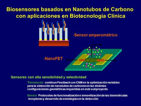 Biosensores basados en Nanotubos de Carbono