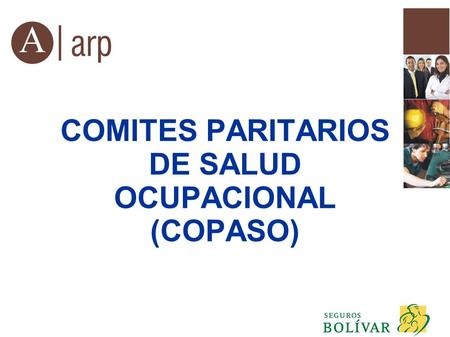 COMITES PARITARIOS DE SALUD OCUPACIONAL (COPASO)