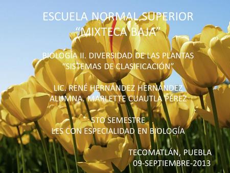 ESCUELA NORMAL SUPERIOR “MIXTECA BAJA” BIOLOGÍA II