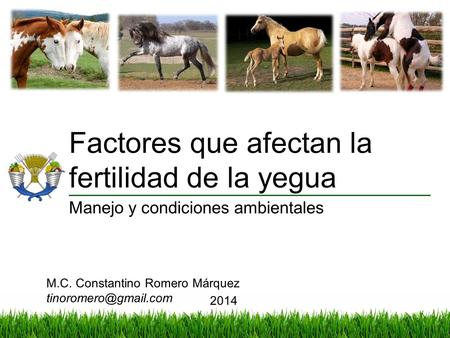 Factores que afectan la fertilidad de la yegua