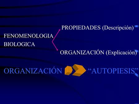 ORGANIZACIÓN “AUTOPIESIS”