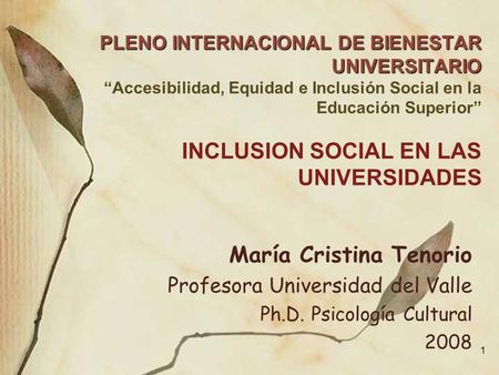 1 PLENO INTERNACIONAL DE BIENESTAR UNIVERSITARIO PLENO INTERNACIONAL DE BIENESTAR UNIVERSITARIO “Accesibilidad, Equidad e Inclusión Social en la Educación.