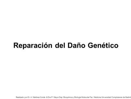 Reparación del Daño Genético