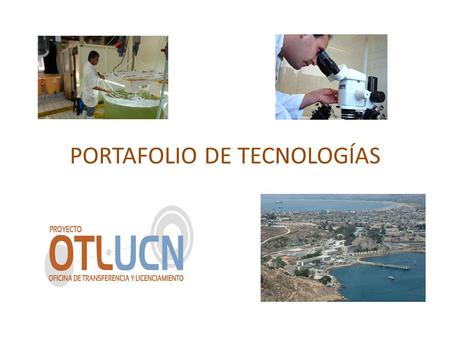 PORTAFOLIO DE TECNOLOGÍAS. 1.Desarrollo de una Tecnología Base de Cultivo para la Producción de Cojinoba del Norte (Seriolella violacea). El desarrollo.
