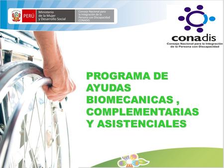 PROGRAMA DE AYUDAS BIOMECANICAS , COMPLEMENTARIAS Y ASISTENCIALES