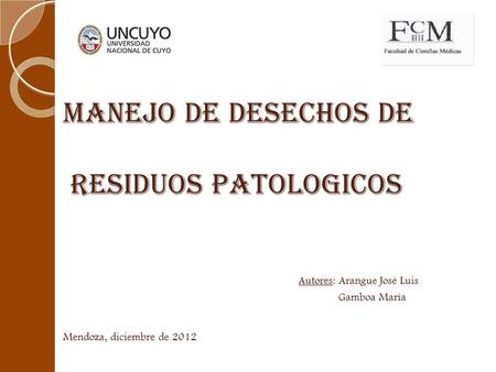 MANEJO DE DESECHOS DE RESIDUOS PATOLOGICOS  Autores: Arangue José Luis.