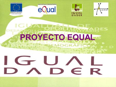 PROYECTO EQUAL. ASOCIACIÓN DE INVESTIGACIÓN Y MEDIACIÓN PARA LA PROMOCIÓN DEL EMPLEO Y LA IGUALDAD.