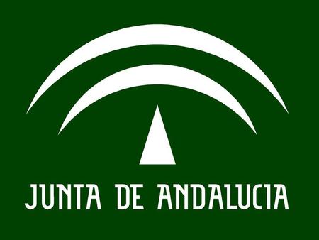 CONSEJERÍA DE EDUCACIÓN DIRECCIÓN GENERAL DE ORDENACIÓN Y EVALUACIÓN EDUCATIVA Evaluación de Diagnóstico en la Comunidad Autónoma de Andalucía.