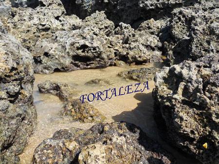FORTALEZA LA FORTALEZA Desde el inicio al final de nuestro recorrido por la vida, todos debemos luchar para sobrevivir. No dejemos que el desanimo, la.