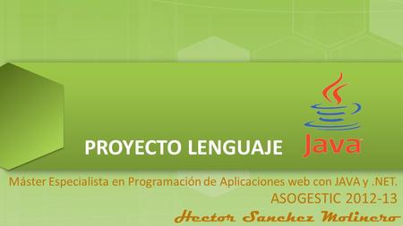 PROYECTO LENGUAJE ASOGESTIC Hector Sanchez Molinero