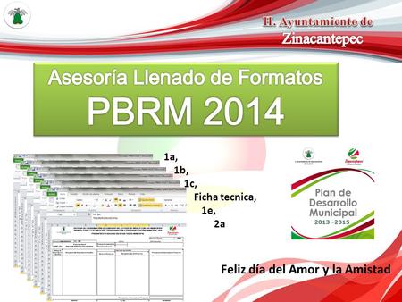 Asesoría Llenado de Formatos