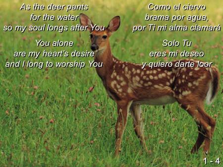 As the deer pants for the water so my soul longs after You You alone are my heart’s desire and I long to worship You As the deer pants for the water so.