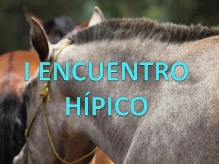 El encuentro hípico ha llegado a su fin, esperamos que nuestro mensaje haya llegado a cada una de las personas que han compartido con nosotros este fin.