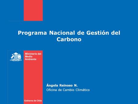 Programa Nacional de Gestión del Carbono Ángela Reinoso N. Oficina de Cambio Climático.
