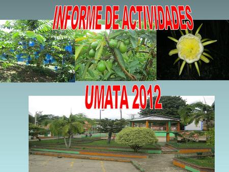 INFORME DE ACTIVIDADES