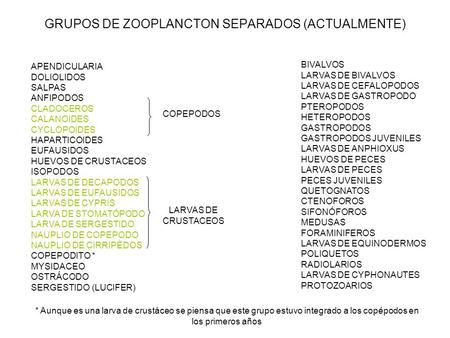 GRUPOS DE ZOOPLANCTON SEPARADOS (ACTUALMENTE)