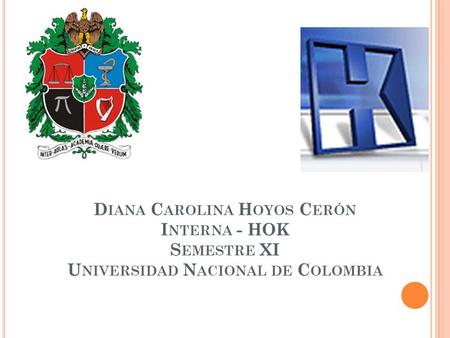 DENGUE. Diana Carolina Hoyos Cerón Interna - HOK Semestre XI Universidad Nacional de Colombia.