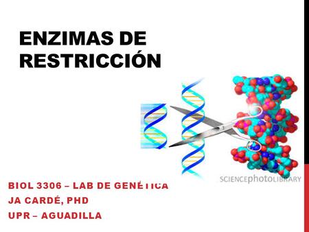 Enzimas de Restricción