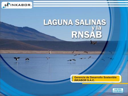 La Laguna Salinas ocupa un área de 2,225 hectáreas (1.7%) ubicada dentro de la sub cuenca Salinas que tiene una extensión de 69,225 hectáreas (18.8%),