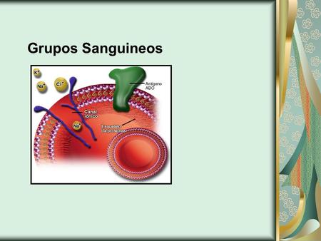 Grupos Sanguineos.