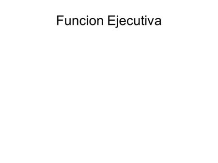 Funcion Ejecutiva.