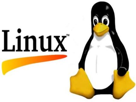 INDICE ¿Qué es Linux? El núcleo de Linux Distribuciones de Linux