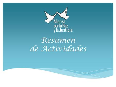 Resumen de Actividades. Realizar una función de auditoría social por parte de la sociedad civil al proceso de reforma del sistema de seguridad pública.