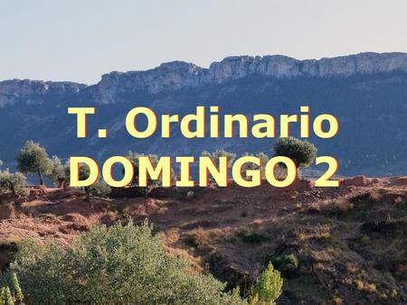 T. Ordinario DOMINGO 2.