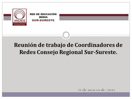 Reunión de trabajo de Coordinadores de Redes Consejo Regional Sur-Sureste.