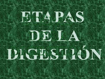 ETAPAS DE LA DIGESTIÓN.