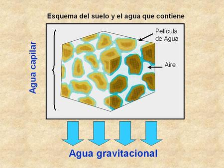FASE SÓLIDA DEL SUELO CONDUCTIVIDAD HIRAULICA Y RETENSION DE HUMEDAD.