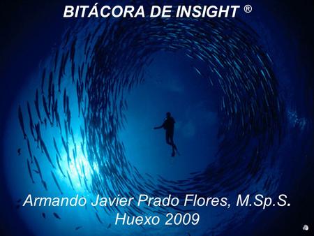 BITÁCORA DE INSIGHT ® Armando Javier Prado Flores, M.Sp.S. Huexo 2009.