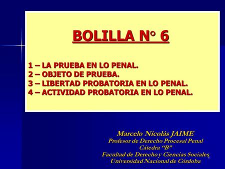 BOLILLA N° 6 1 – LA PRUEBA EN LO PENAL. 2 – OBJETO DE PRUEBA