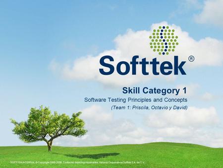 Skill Category 1 Software Testing Principles and Concepts