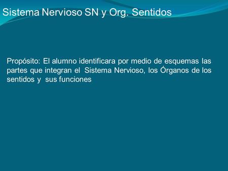 Sistema Nervioso SN y Org. Sentidos