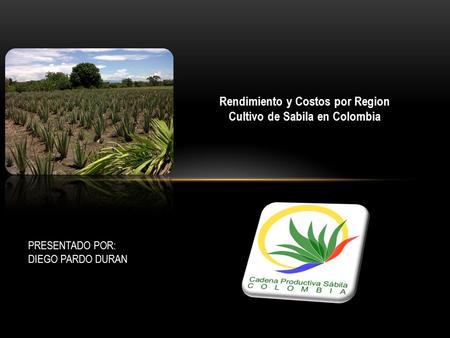 Rendimiento y Costos por Region Cultivo de Sabila en Colombia PRESENTADO POR: DIEGO PARDO DURAN.